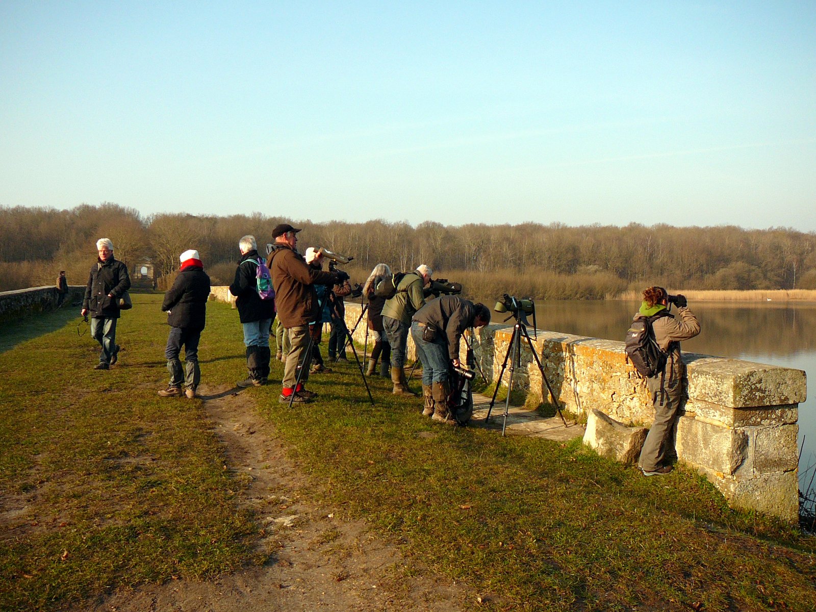 2013-04-07-Ornithologie à St Hubert